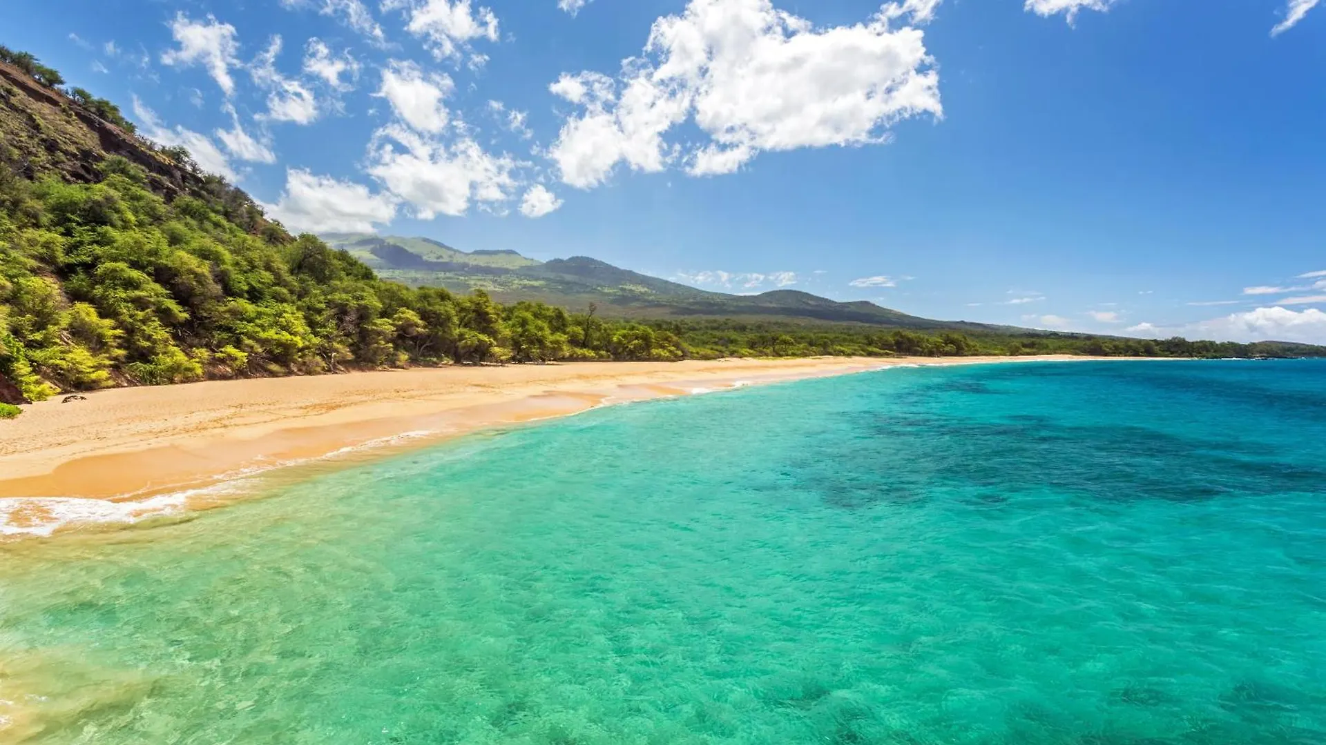 Kamaole Sands 3-302 Wailea  United States